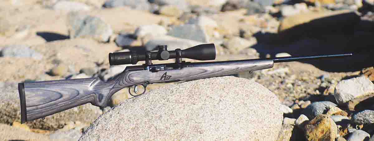 The Savage A17 was the first semiautomatic from a major manufacturer that can handle the .17 HMR round without problems. It also shoots as well as most bolt actions.
